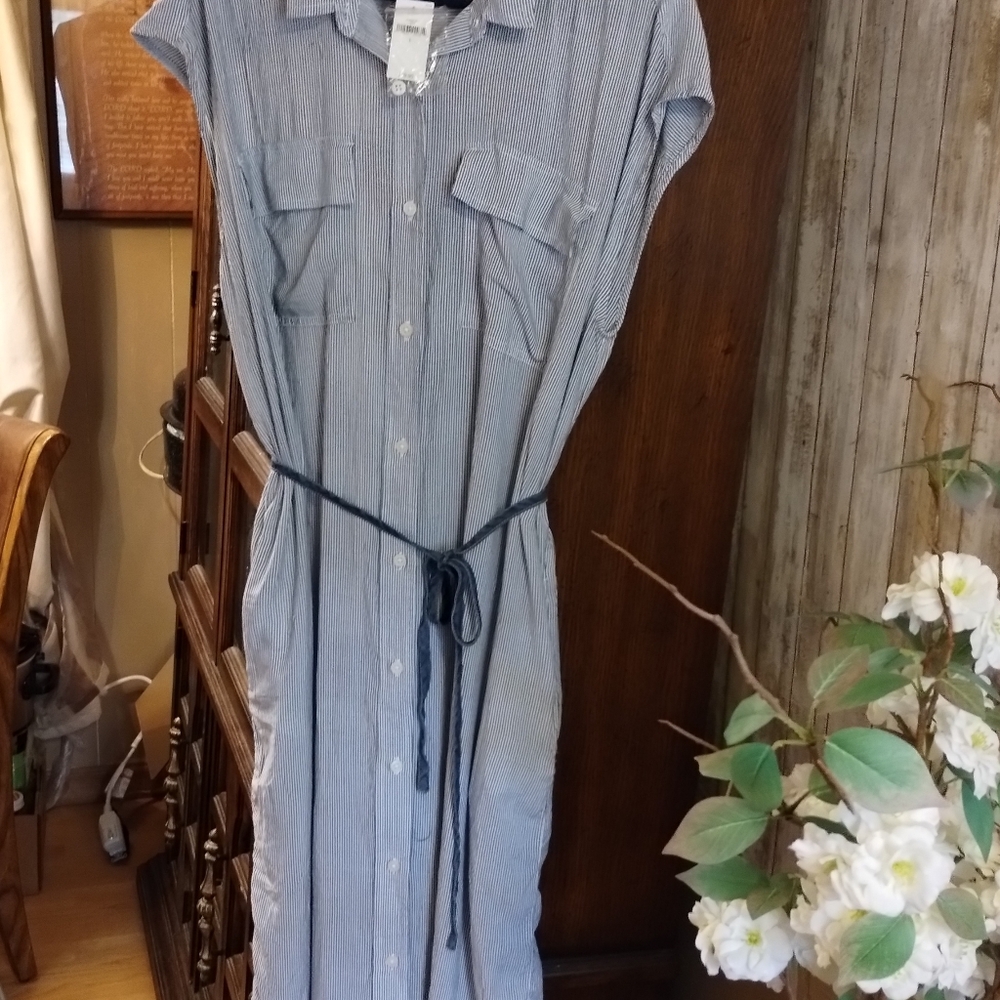 Gap Dress NWT$69.85  ( L)